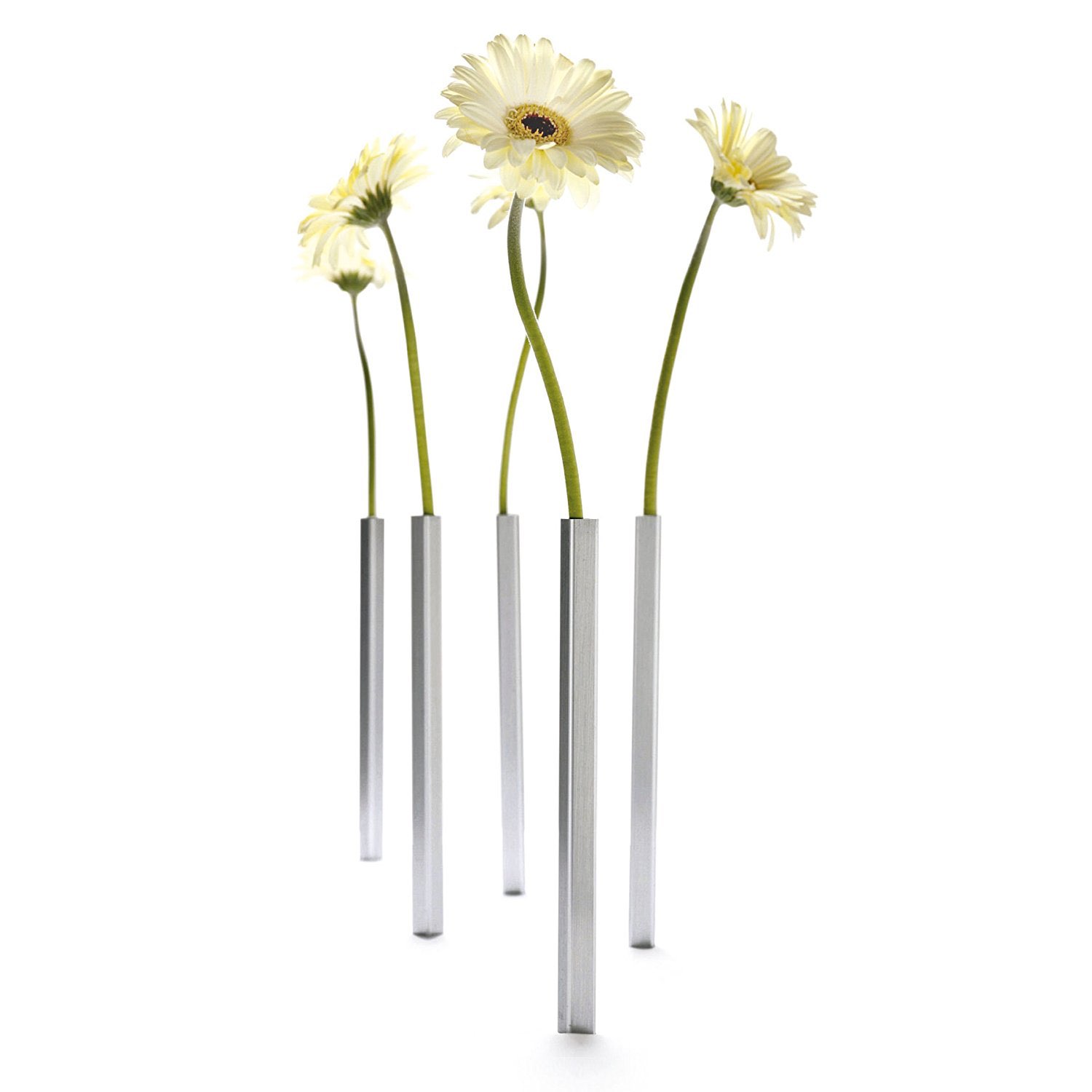 Fünf silberne magnetische Vasenstäbe mit hellen Gerbera-Blüten